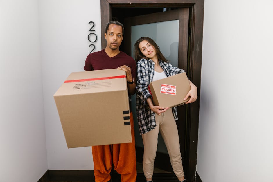 A man with curly dark hair and a beard, dressed in a teal T-shirt and dark jeans, sits on the wooden floor inside a bright room next to a stack of unpacked moving boxes made of brown cardboard, some of which are sealed with red tape, indicating a home relocation process. The room has two large, arched windows with black frames, allowing natural daylight to illuminate the space. Outside the windows, a residential street with parked cars and trees is visible. To the right of the man, there is a tall indoor potted plant with broad green leaves in a black pot. The interior features plain white walls and a wooden floor, suggesting a recent move or packing activity, consistent with professional house removals or furniture transport services offered by Harringay Movers, as indicated on the page about trusted movers in Harringay.