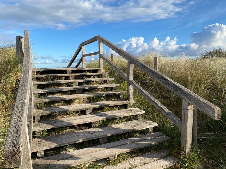 A set of weathered wooden outdoor stairs with eight treads and a simple handrail on both sides, leading up from a sandy and grassy area toward a higher ground. The stairs are situated in a coastal environment with tall dune grass on either side, and the sky above is partly cloudy with patches of blue and white clouds. The scene is illuminated by natural daylight, highlighting the aged texture of the wood. This staircase may present access challenges during a home relocation or furniture transport process due to its uneven, open design and outdoor setting, potentially requiring careful handling or additional equipment during a property moving service. Harringay Movers offers solutions for complex access issues like these as part of their removals services, which include navigating stairs and outdoor terrain during home or office relocations.
